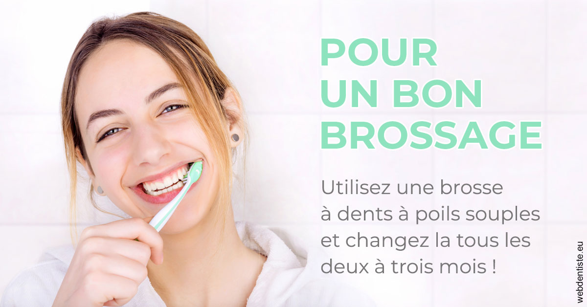 https://dr-lenoble-traore-marie-madeleine.chirurgiens-dentistes.fr/Pour un bon brossage 2