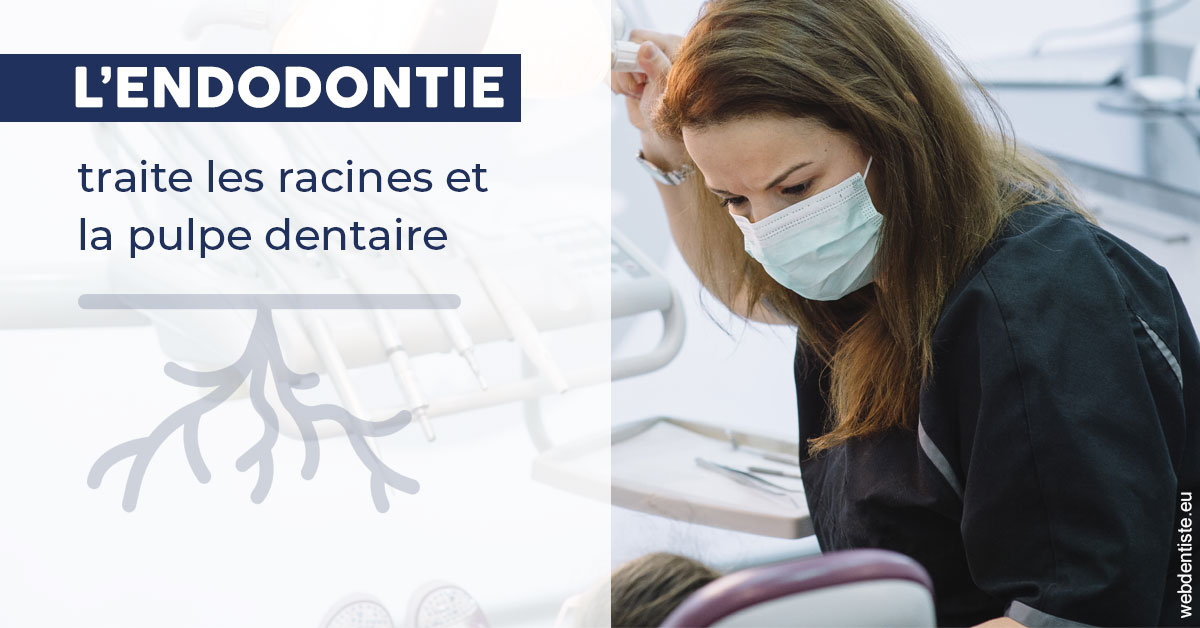 https://dr-lenoble-traore-marie-madeleine.chirurgiens-dentistes.fr/L'endodontie 1