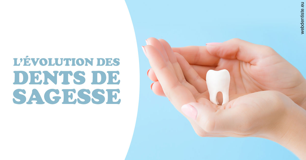 https://dr-lenoble-traore-marie-madeleine.chirurgiens-dentistes.fr/Evolution dents de sagesse 1
