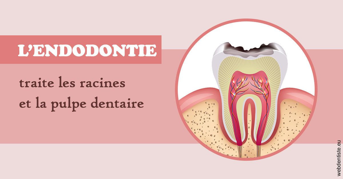 https://dr-lenoble-traore-marie-madeleine.chirurgiens-dentistes.fr/L'endodontie 2