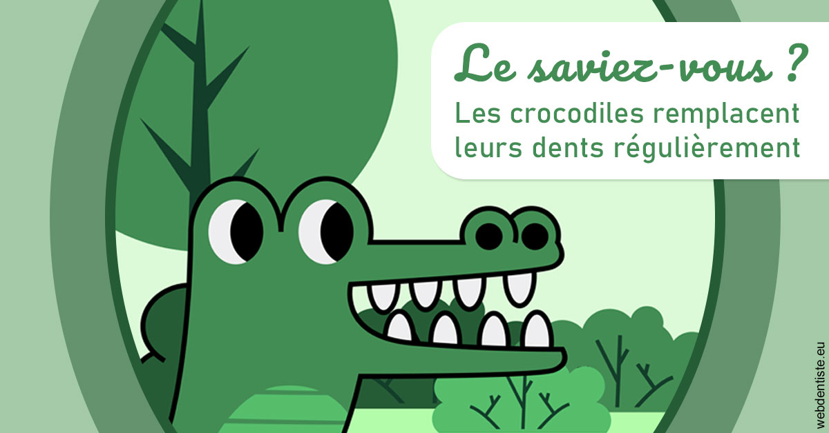 https://dr-lenoble-traore-marie-madeleine.chirurgiens-dentistes.fr/Crocodiles 2