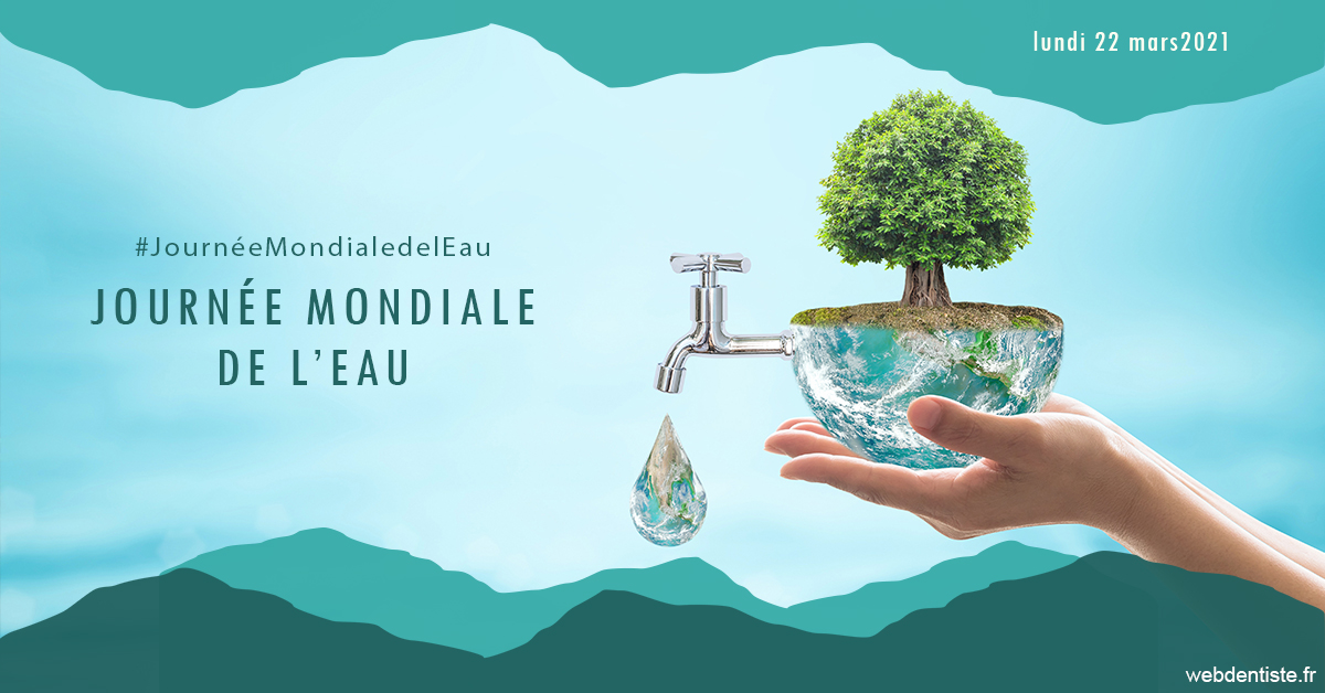https://dr-lenoble-traore-marie-madeleine.chirurgiens-dentistes.fr/Journée de l'eau 1
