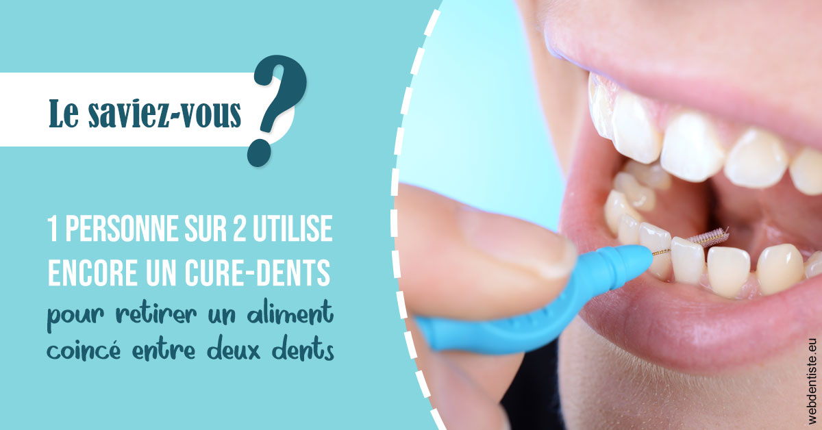 https://dr-lenoble-traore-marie-madeleine.chirurgiens-dentistes.fr/Cure-dents 1
