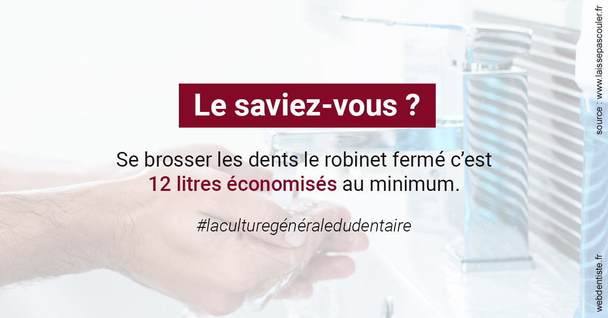 https://dr-lenoble-traore-marie-madeleine.chirurgiens-dentistes.fr/Economies d'eau 2
