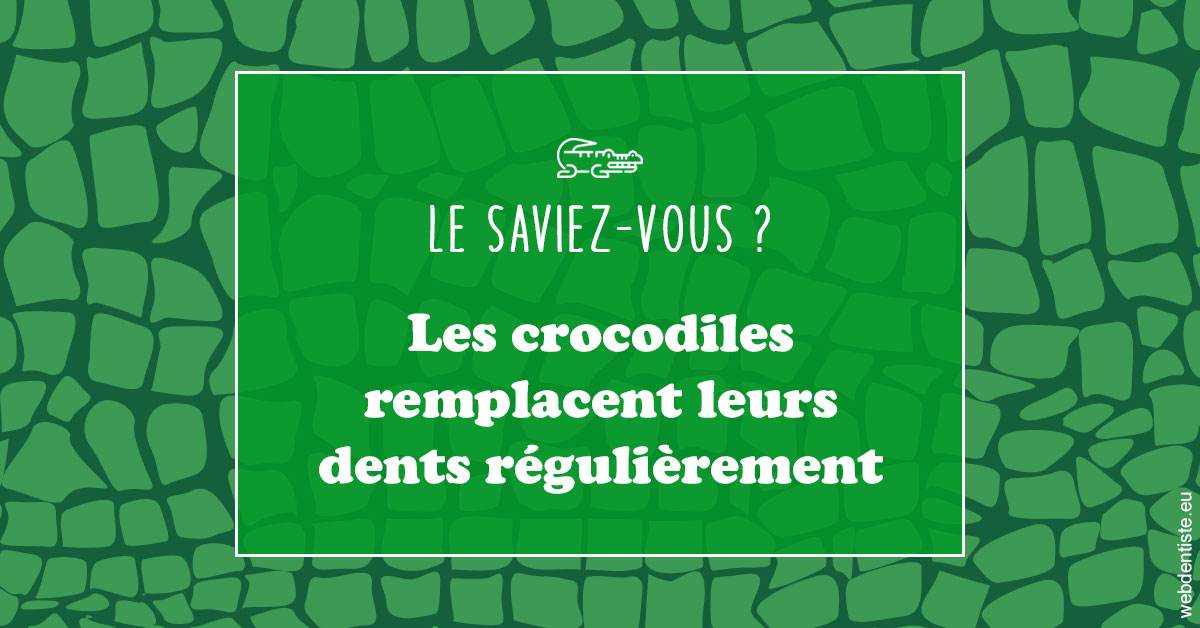 https://dr-lenoble-traore-marie-madeleine.chirurgiens-dentistes.fr/Crocodiles 1